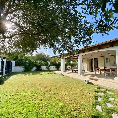 La Casa Dell Olivo Vila Castiadas Exterior foto