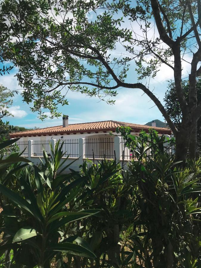 La Casa Dell Olivo Vila Castiadas Exterior foto
